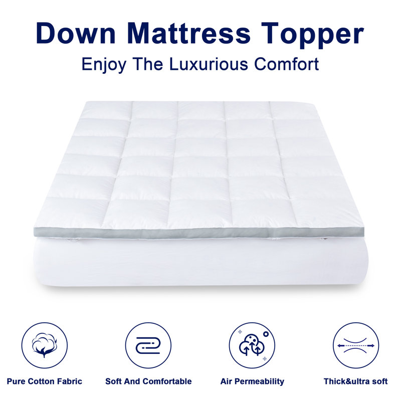 The Twillery Co.® Ilya 2" Down and Feathers Mattress Topper & Reviews